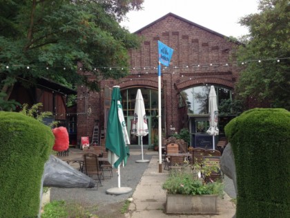 照片: Rotkehlchen in der Waggonhalle